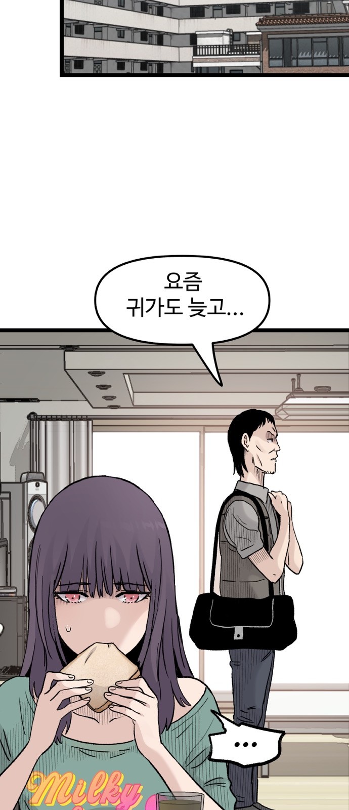 68 페이지