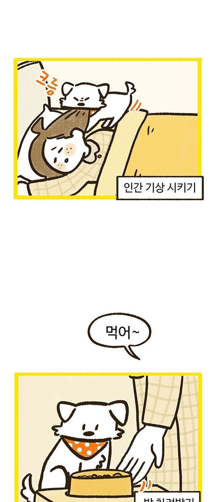 46 페이지