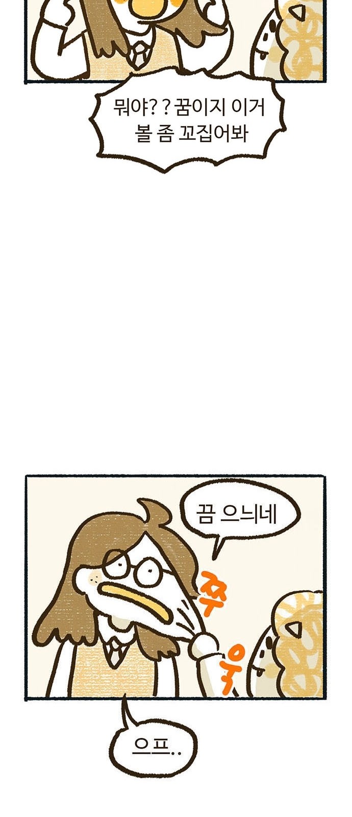 6 페이지