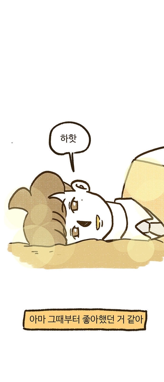 41 페이지