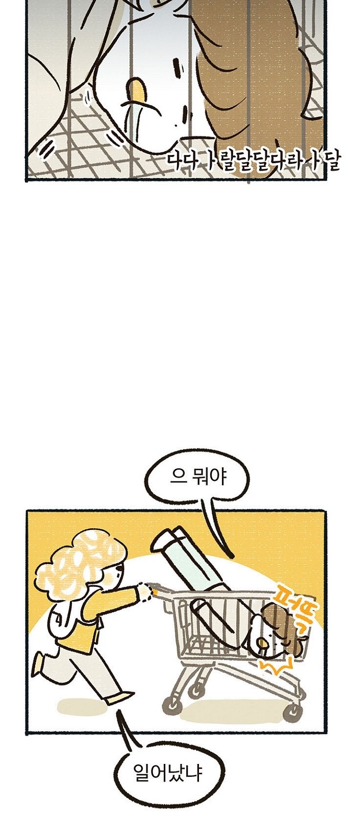 13 페이지