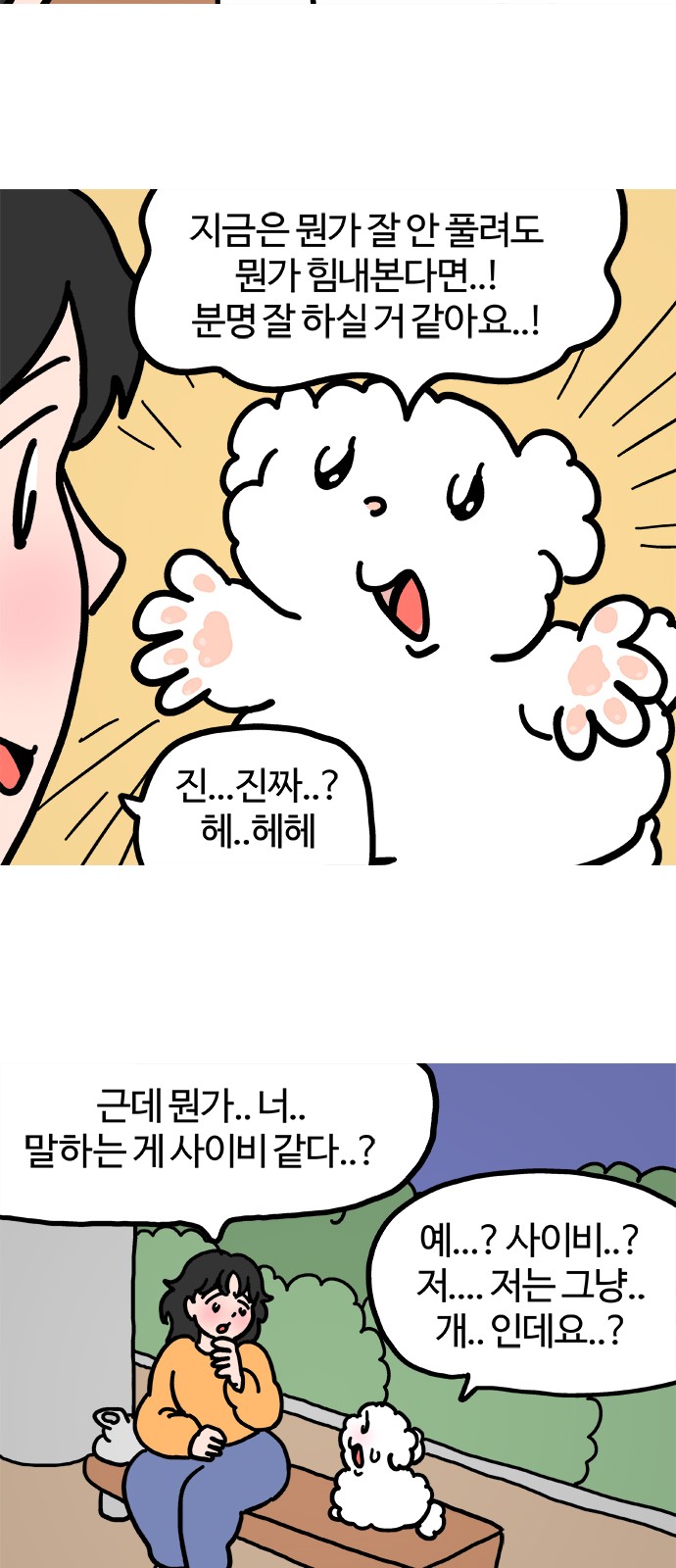 13 페이지