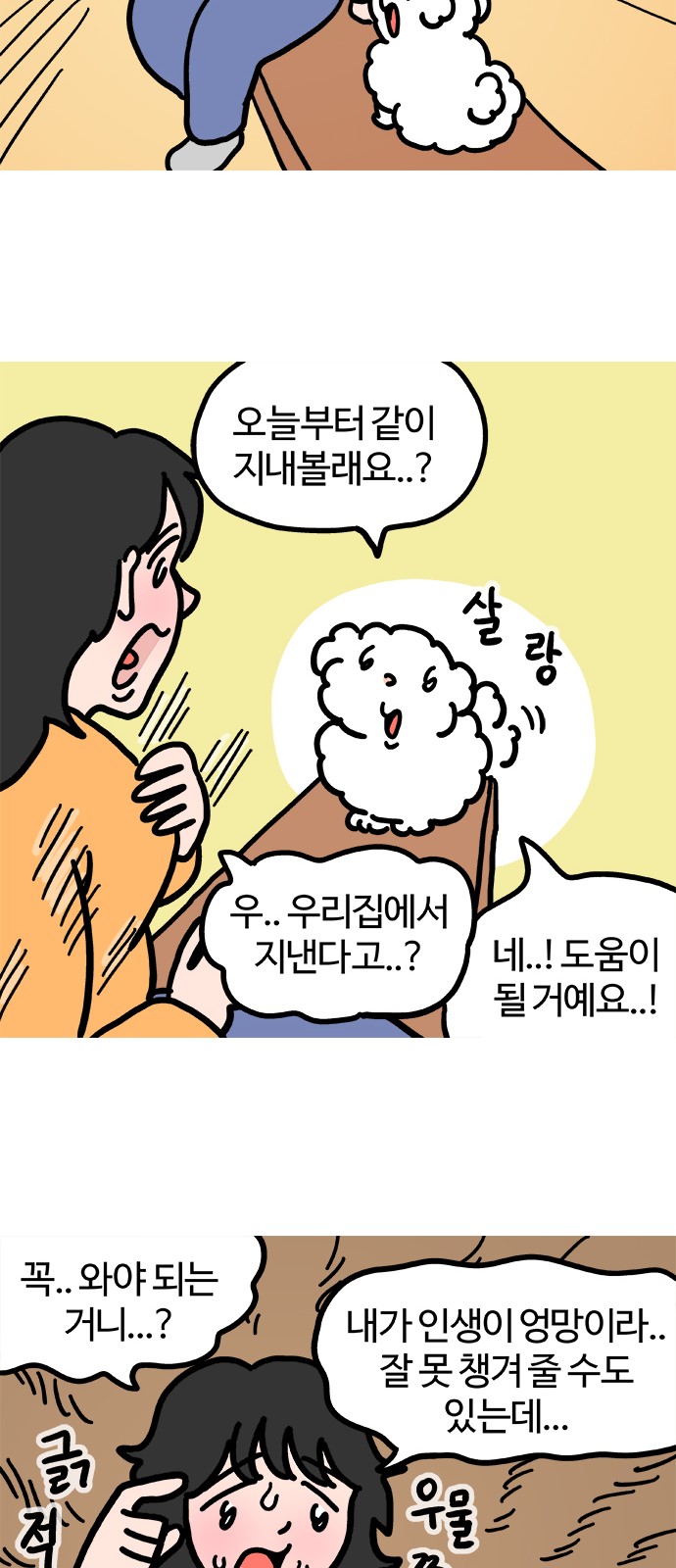 16 페이지