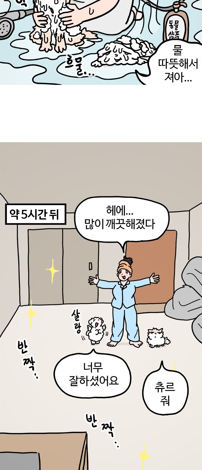 12 페이지