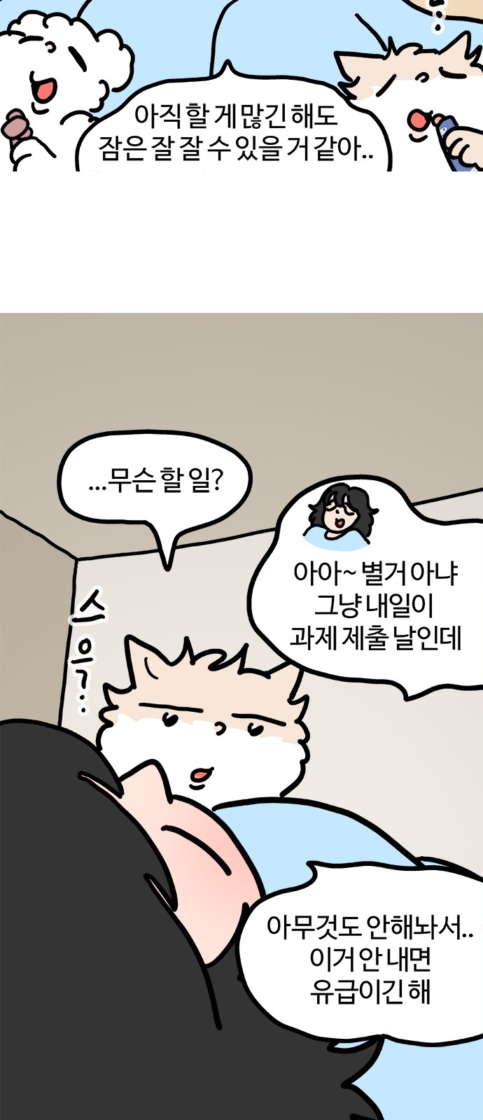 14 페이지