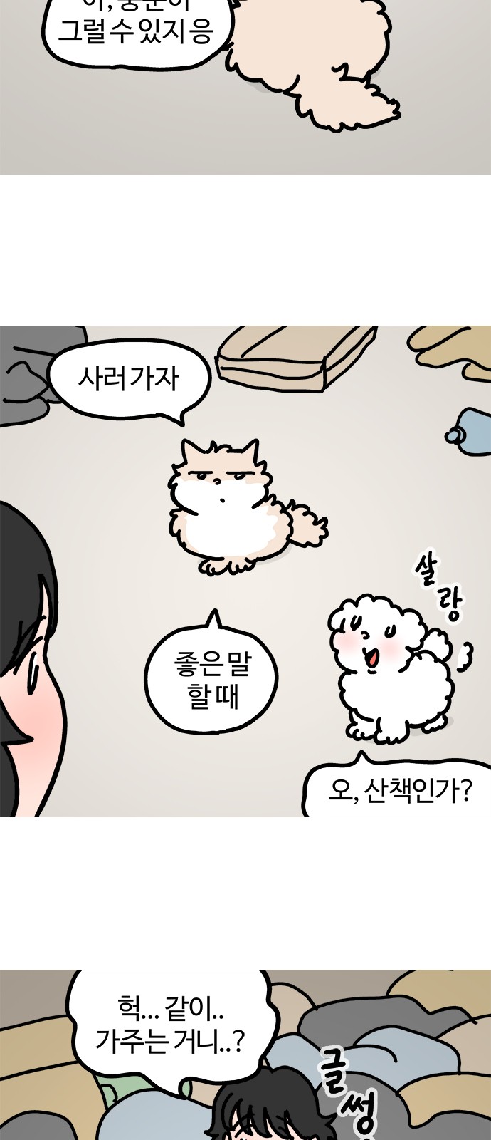 5 페이지