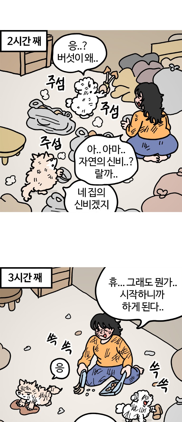 10 페이지
