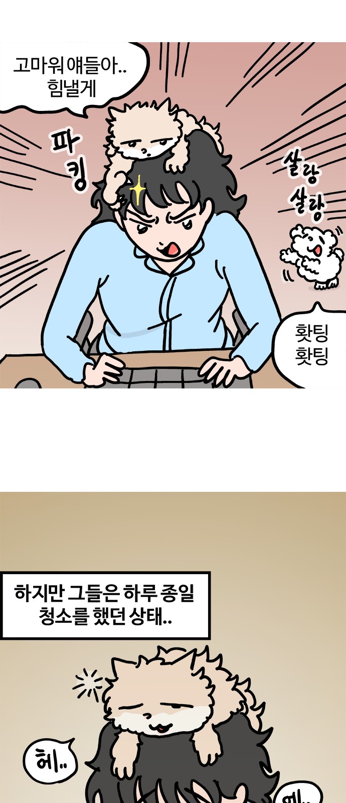 11 페이지