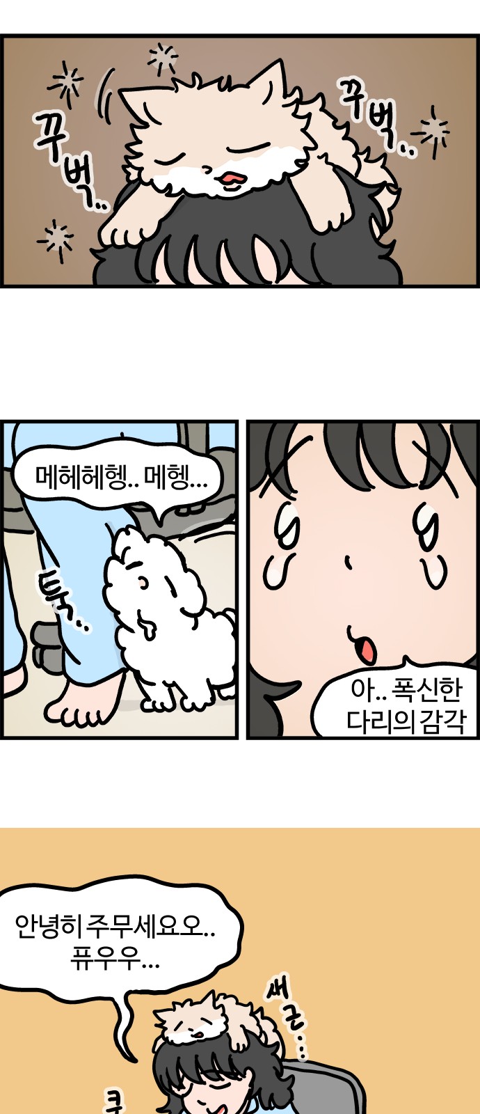 13 페이지