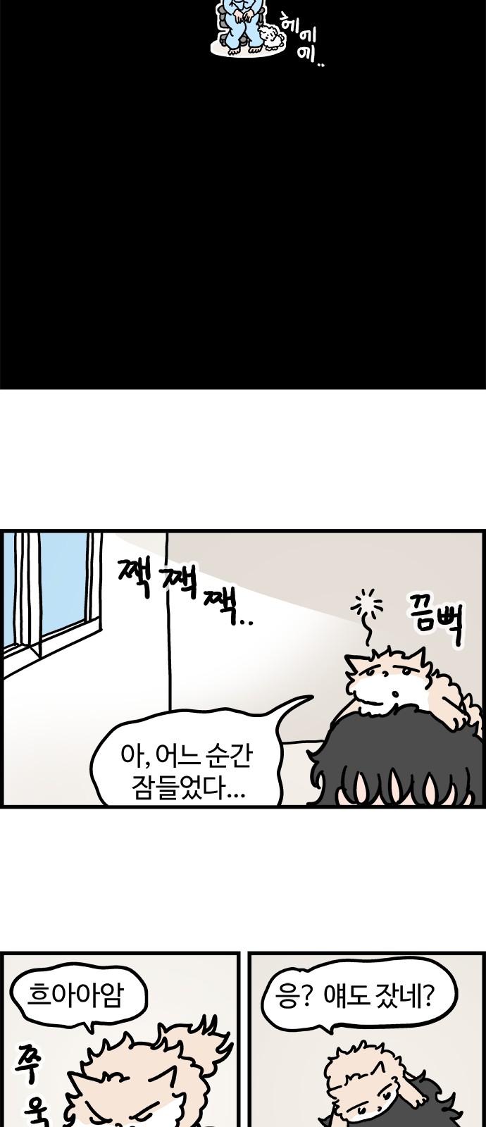 15 페이지