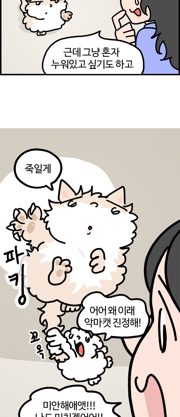 11 페이지