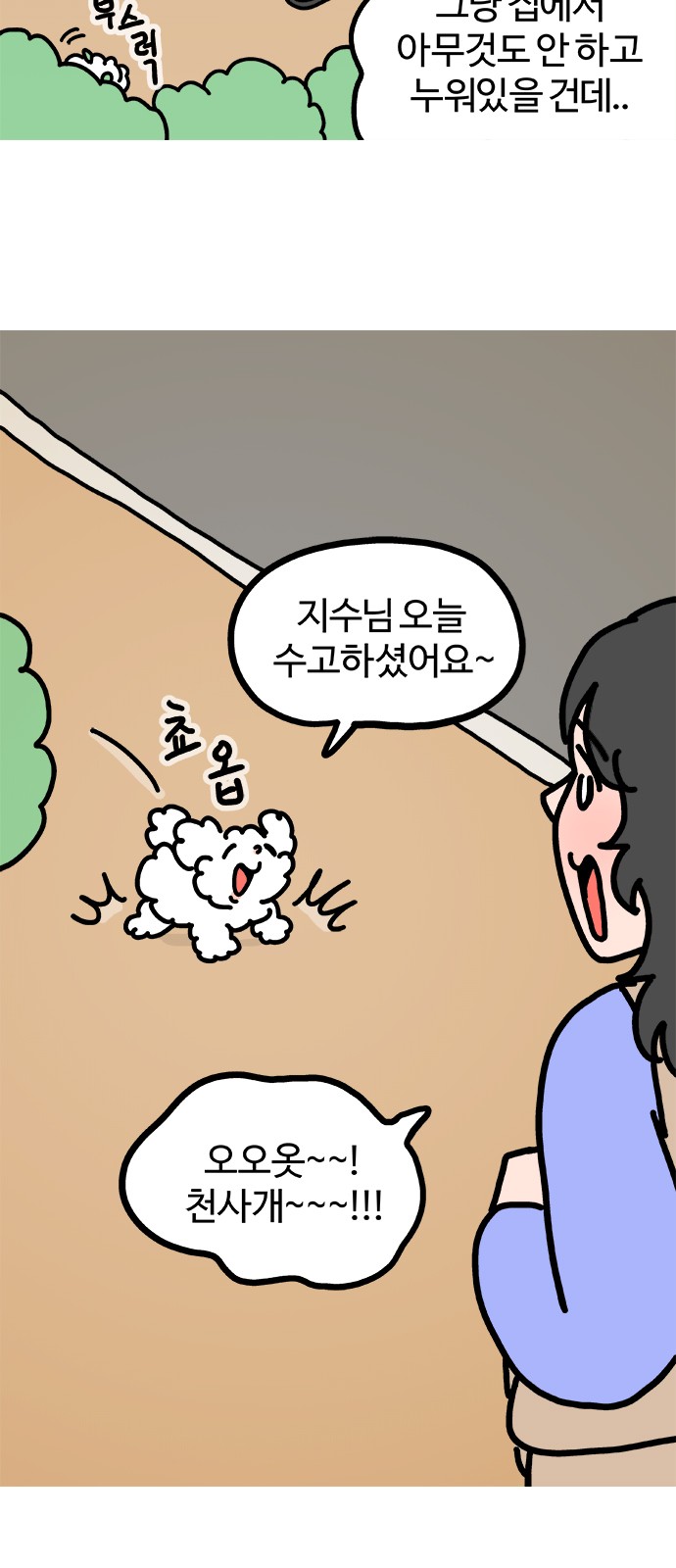 5 페이지