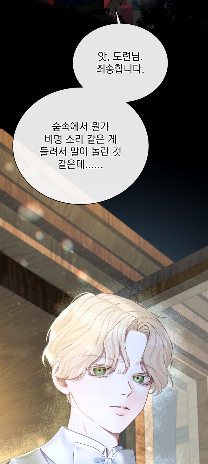 95 페이지