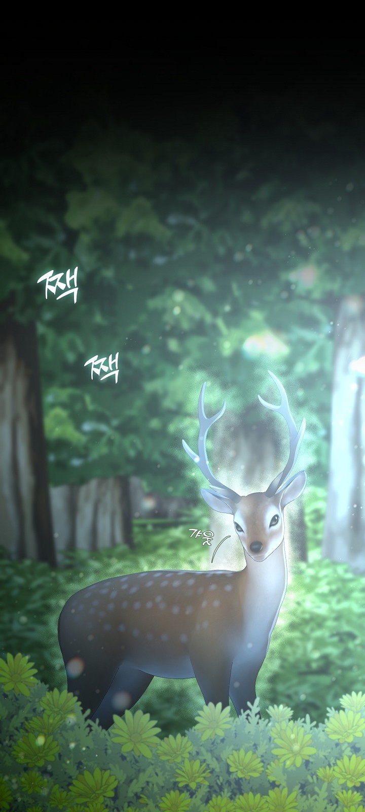 8 페이지
