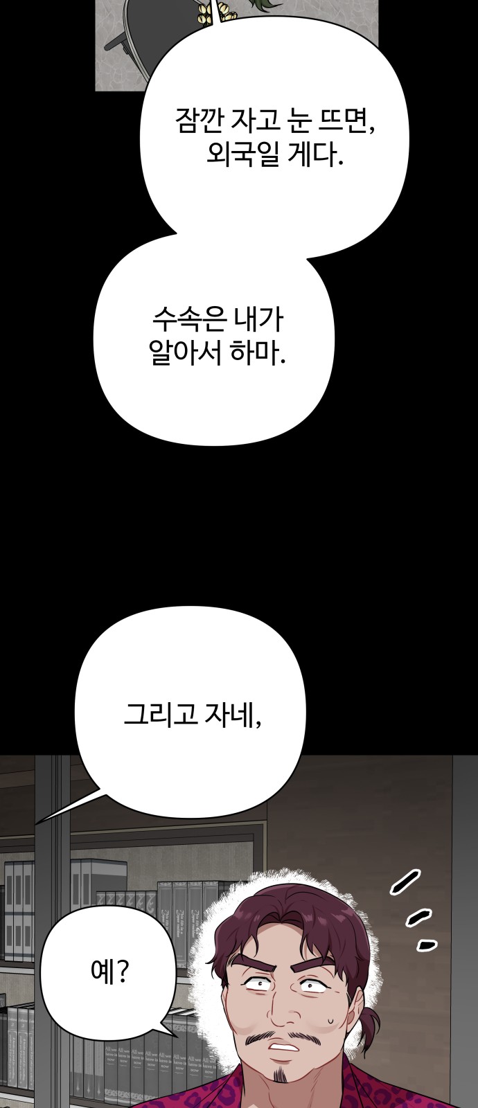 46 페이지