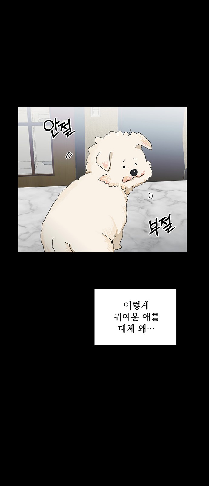 16 페이지