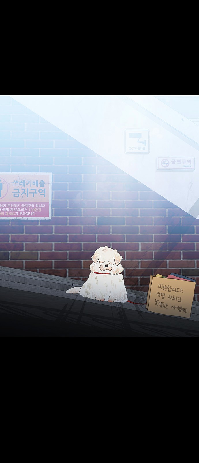 6 페이지
