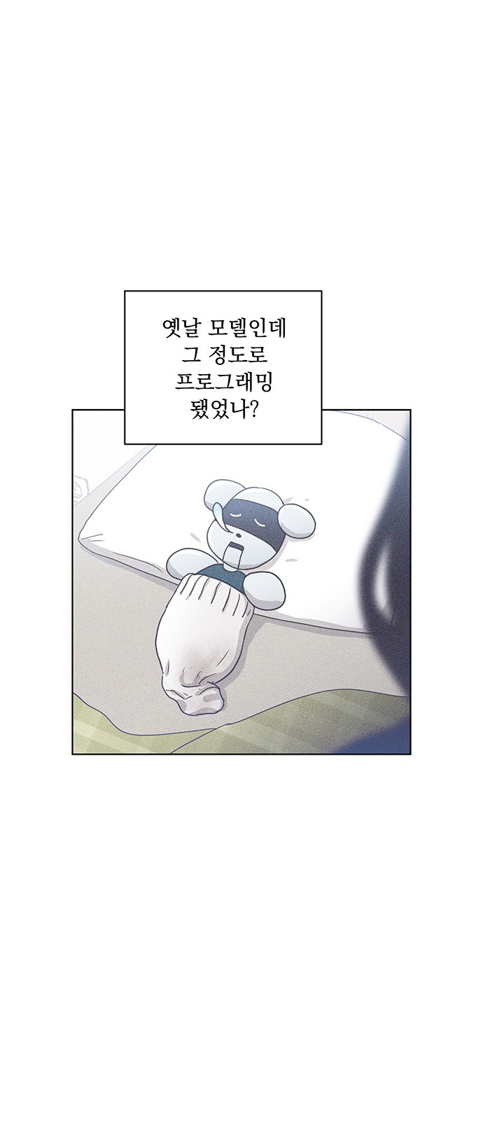 43 페이지