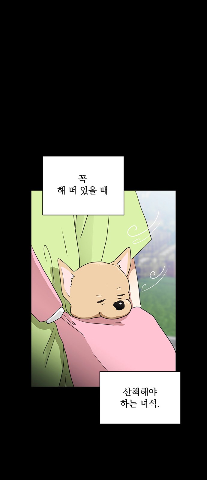 41 페이지