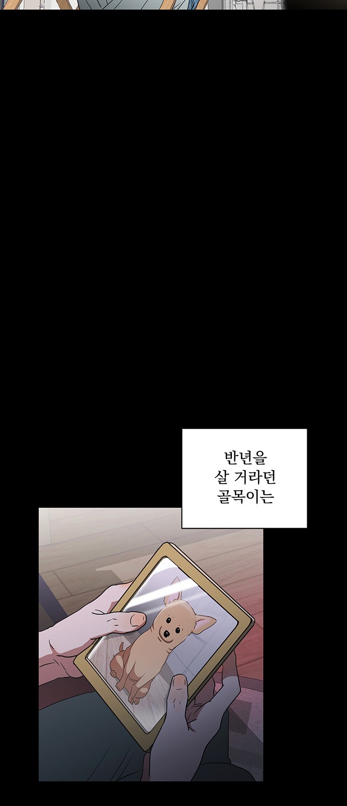 50 페이지
