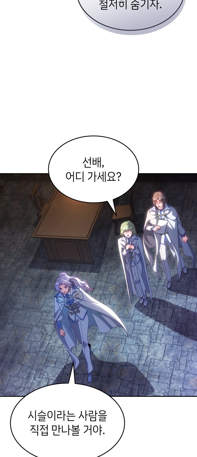 30 페이지