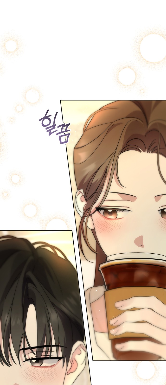 62 페이지