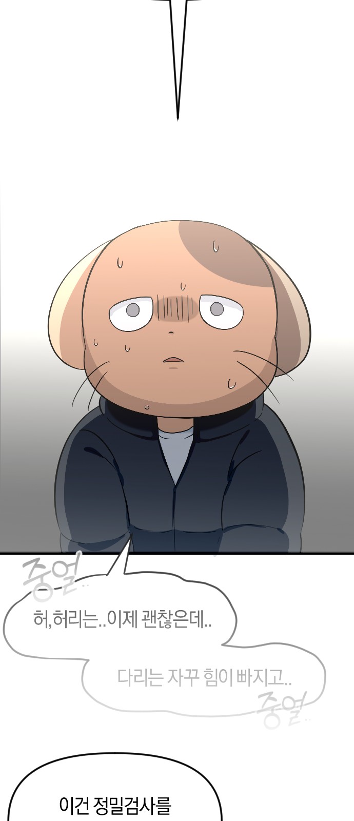 37 페이지