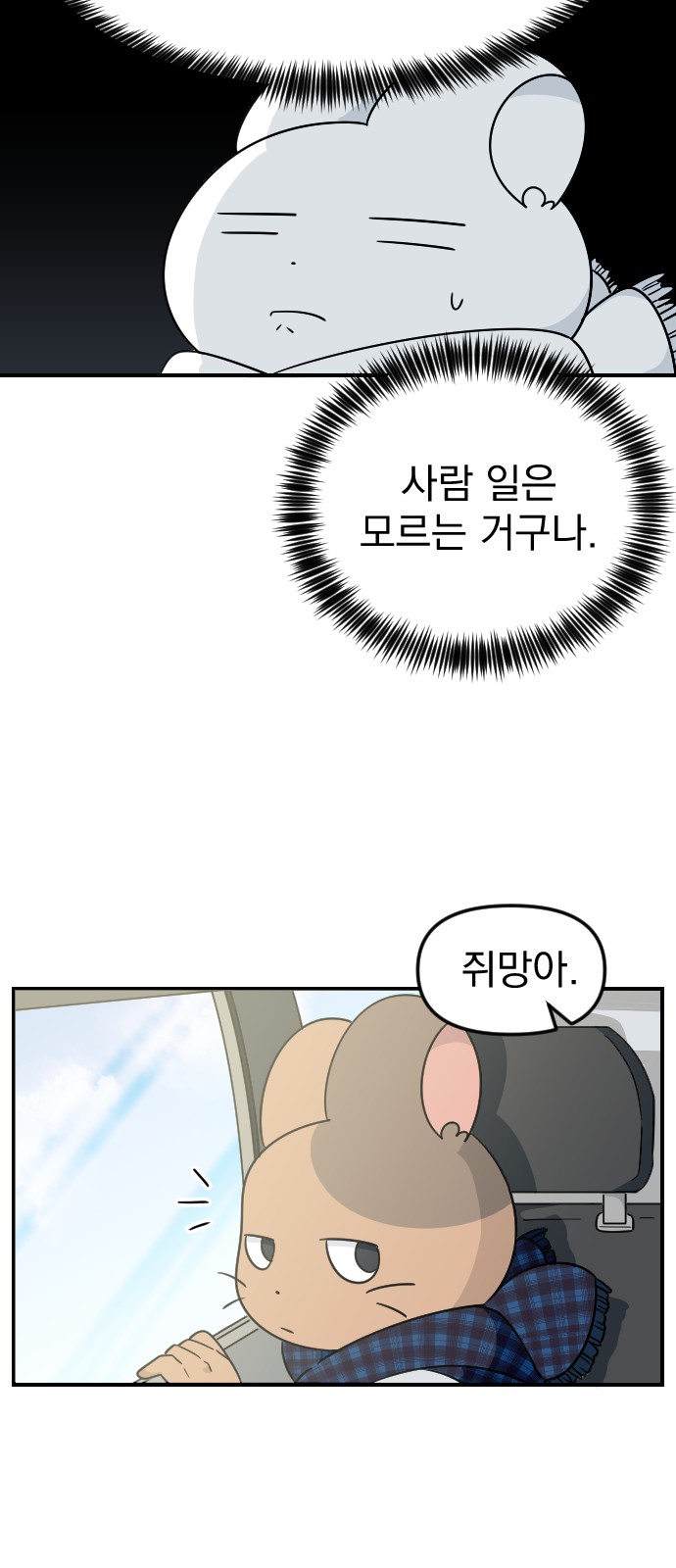 36 페이지
