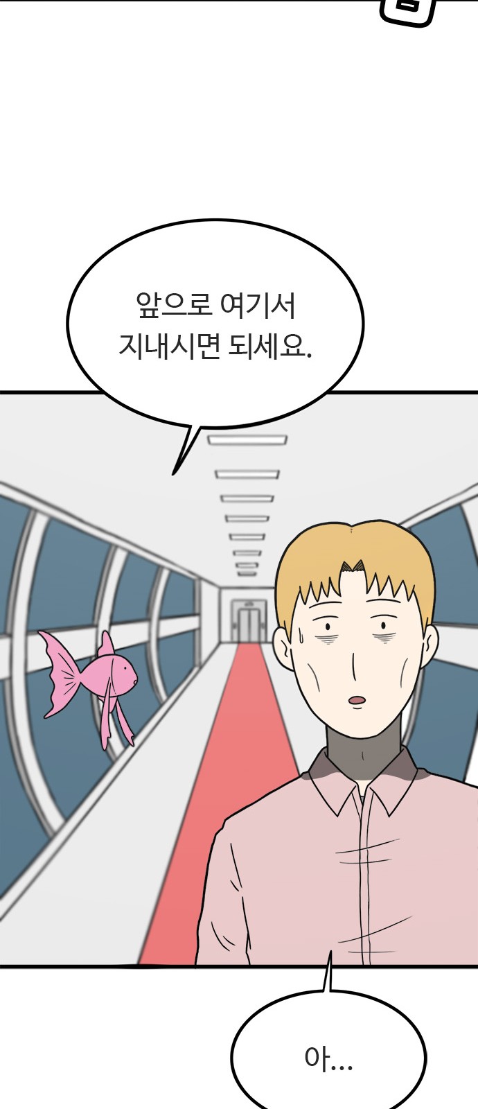 144 페이지