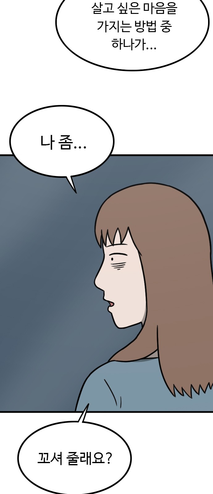 66 페이지