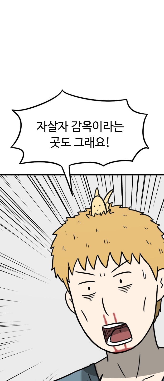43 페이지