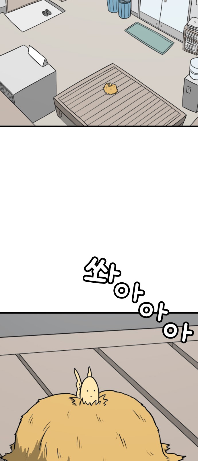 36 페이지