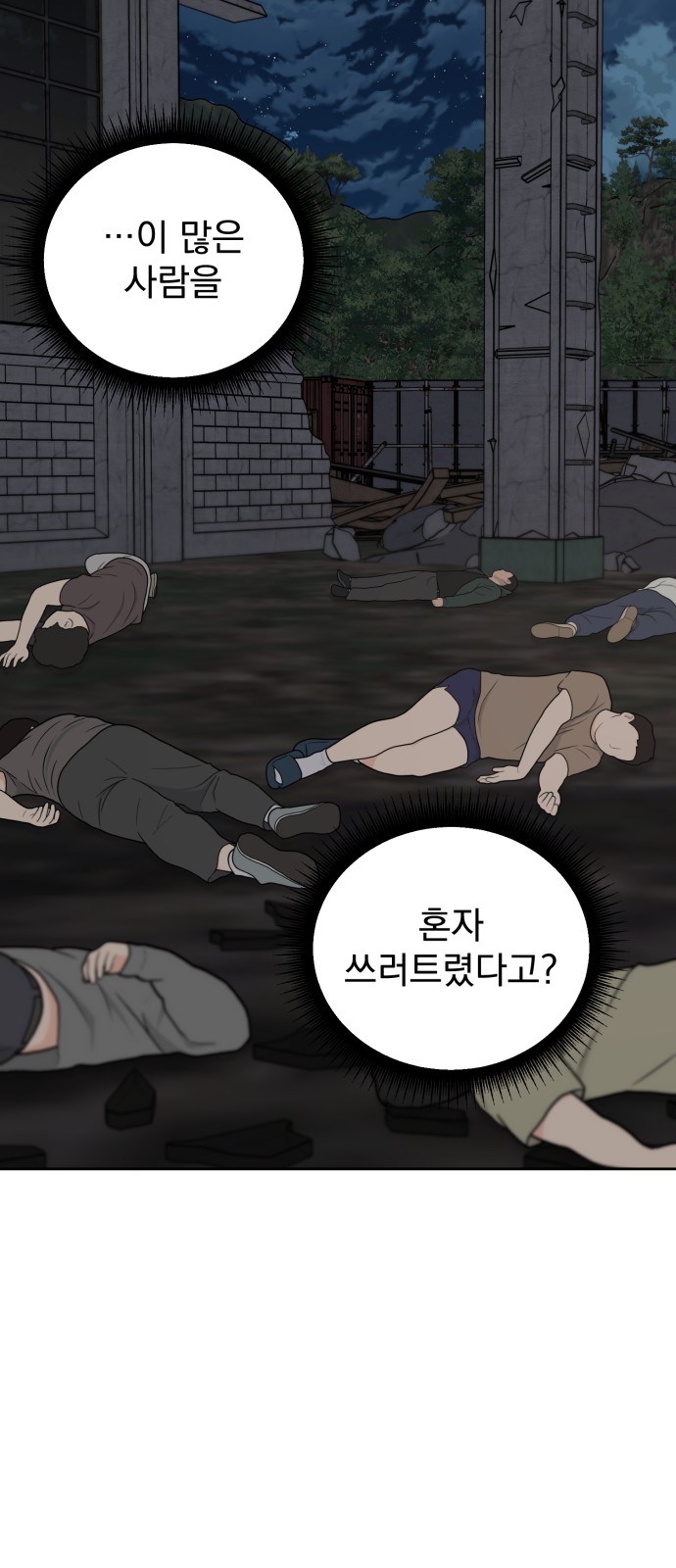 33 페이지