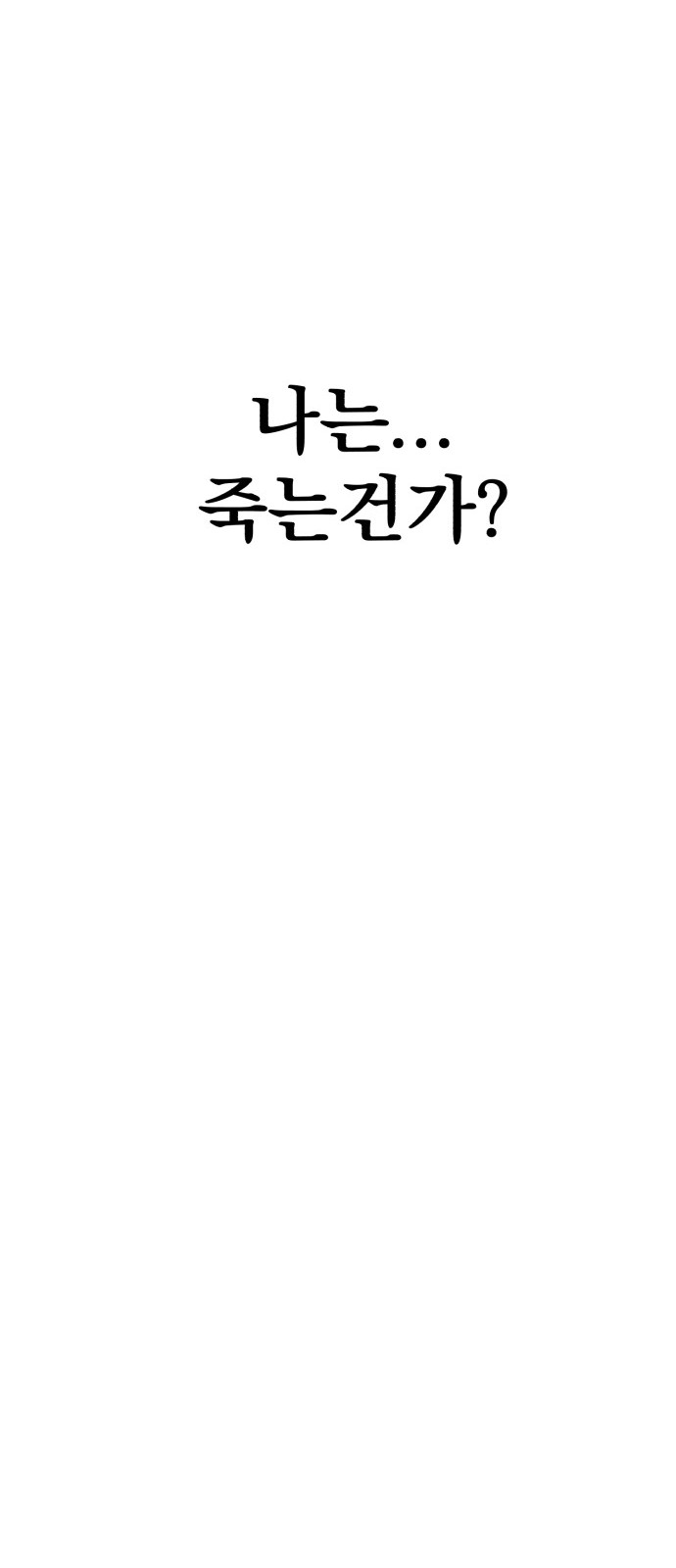 255 페이지