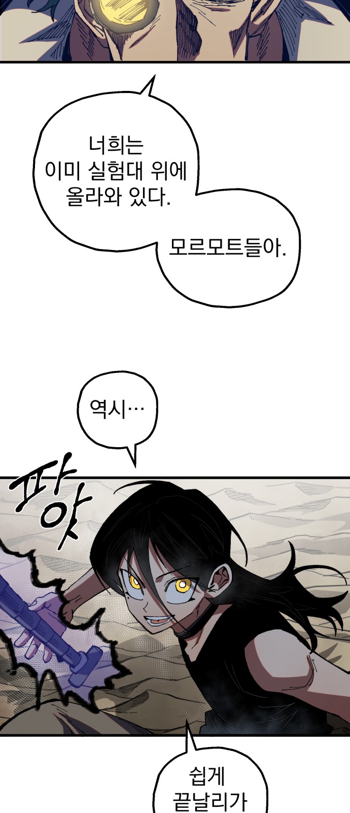 68 페이지