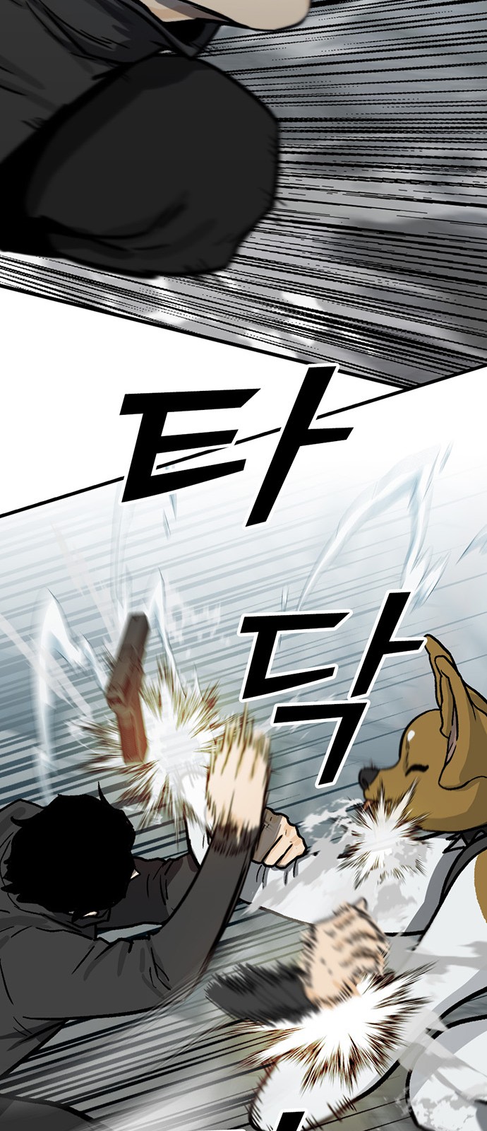 177 페이지