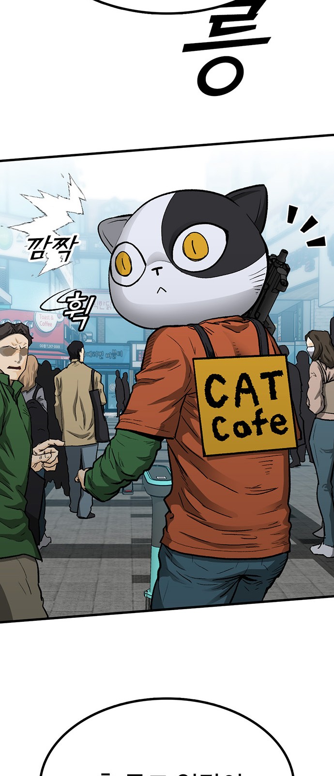 13 페이지