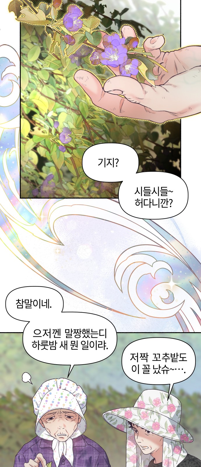 13 페이지