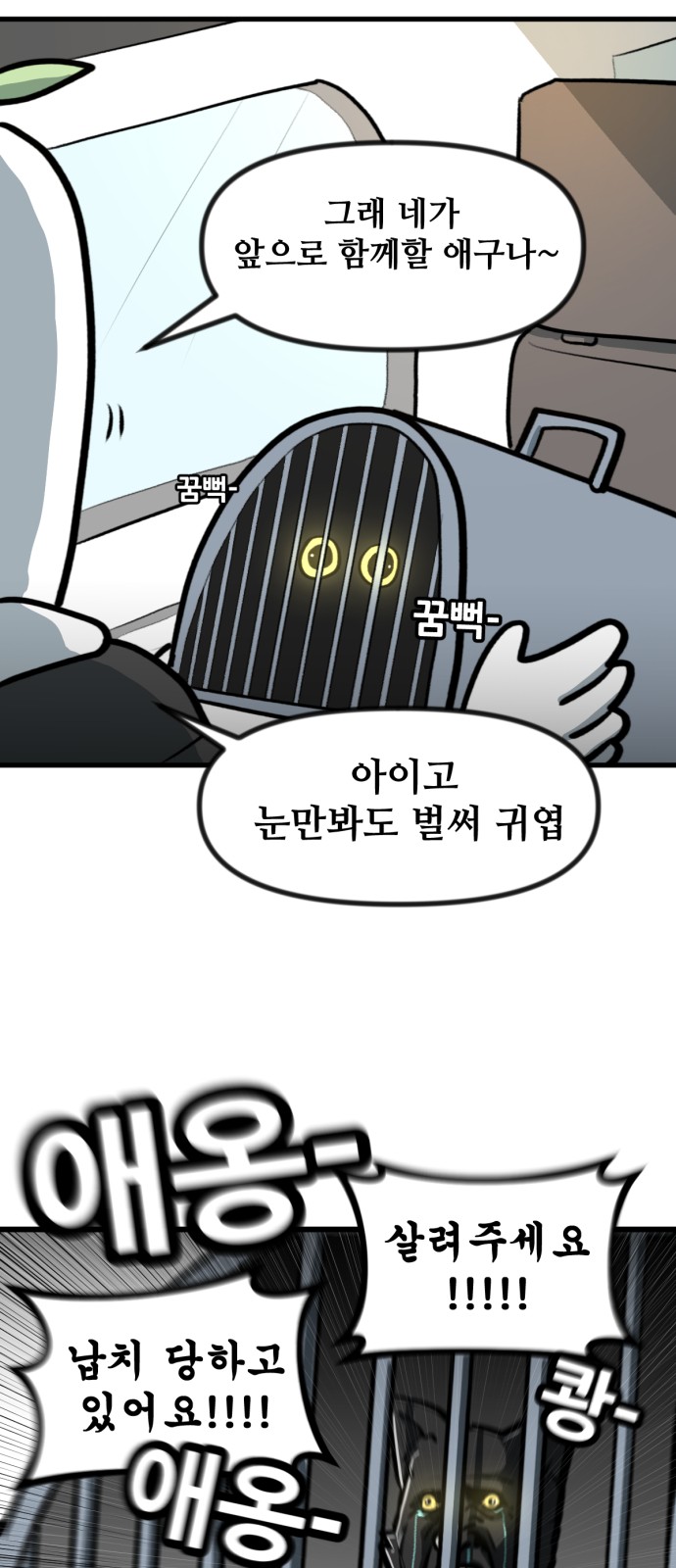11 페이지