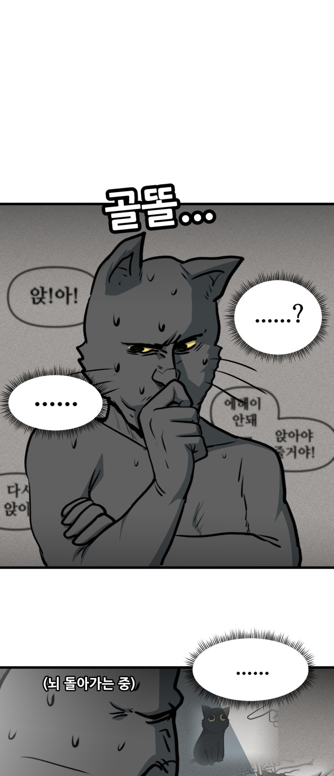 15 페이지