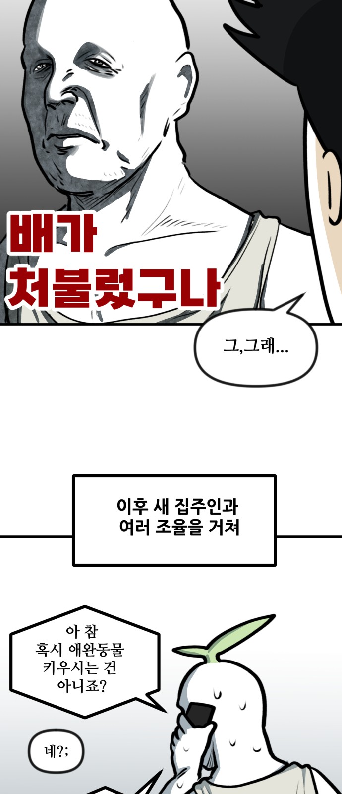 14 페이지