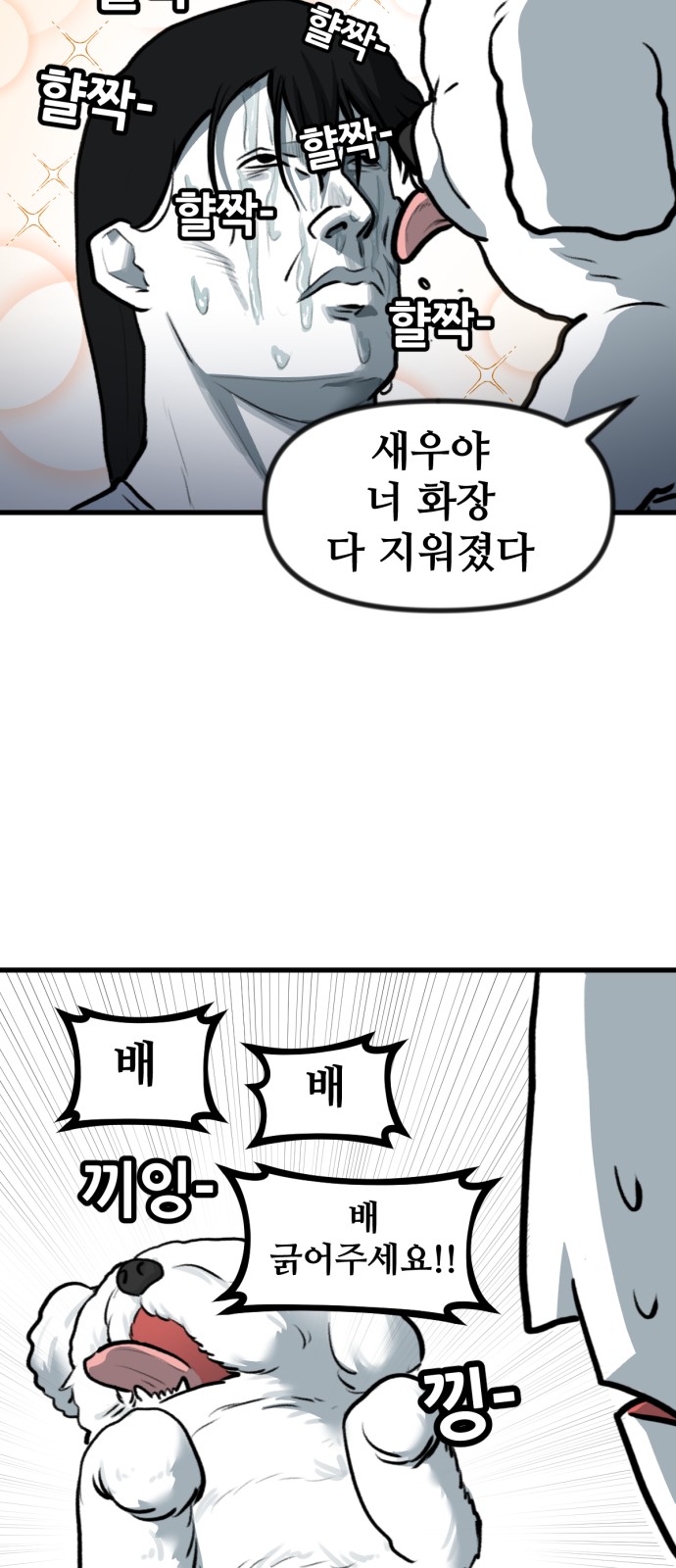 13 페이지