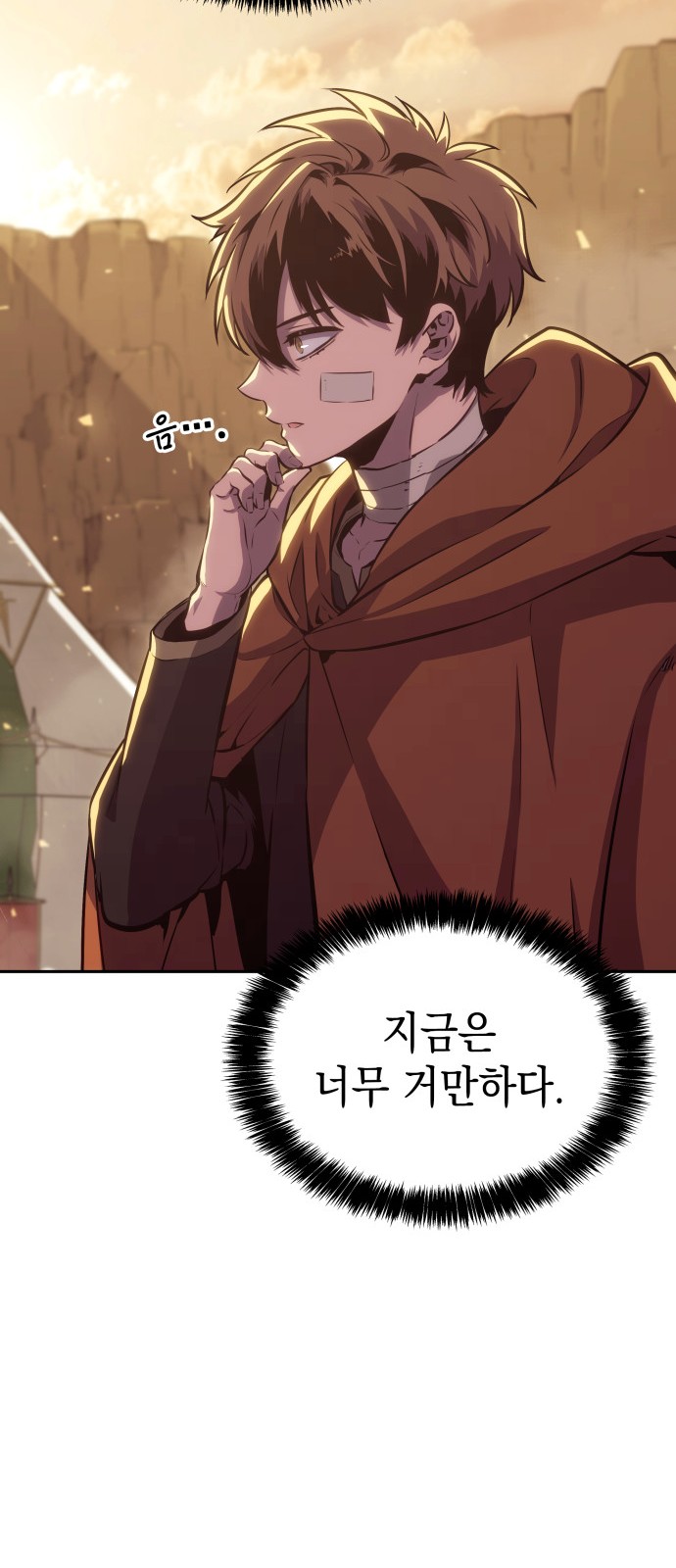 43 페이지