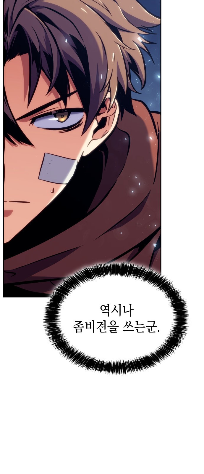 49 페이지