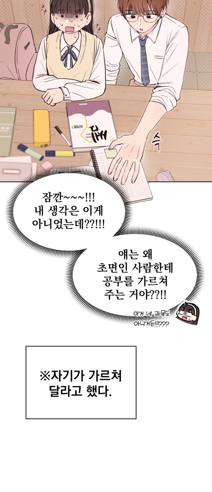 46 페이지