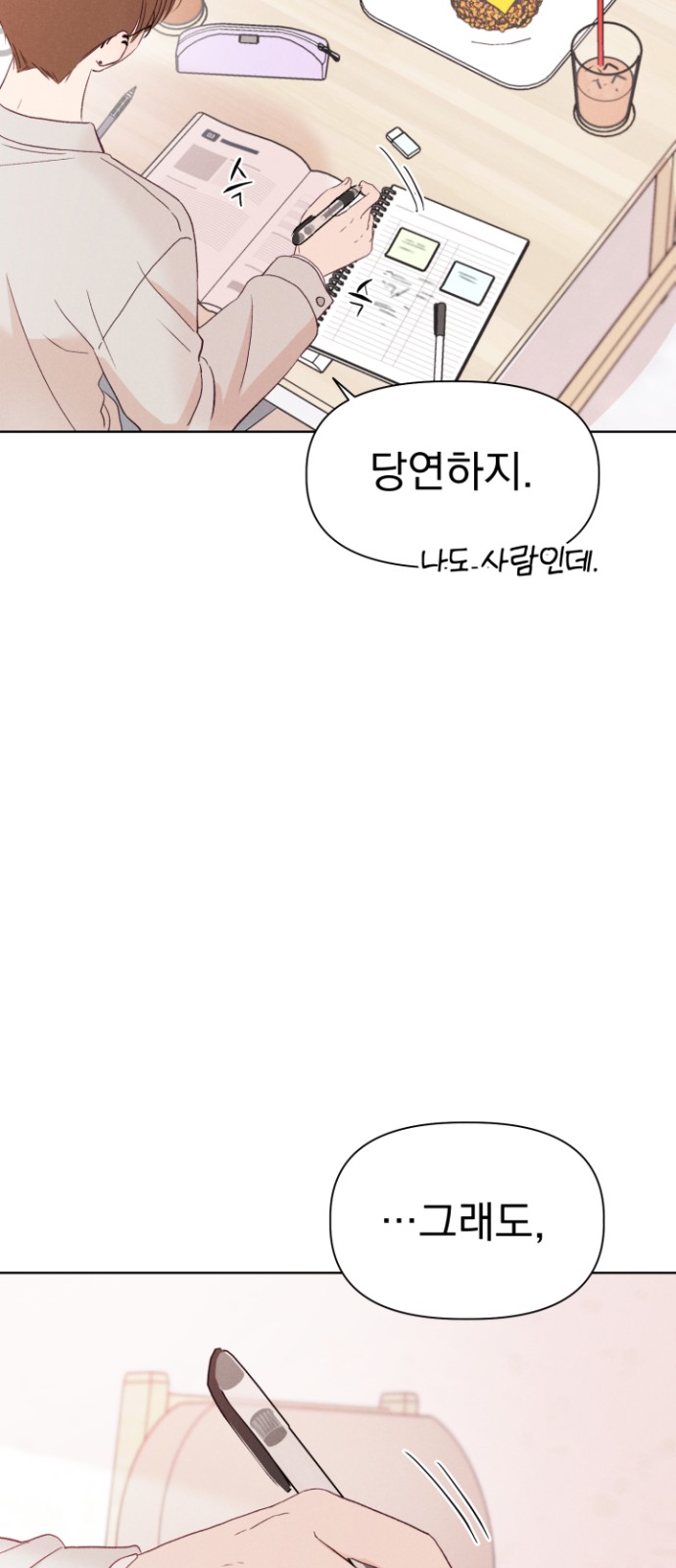 43 페이지