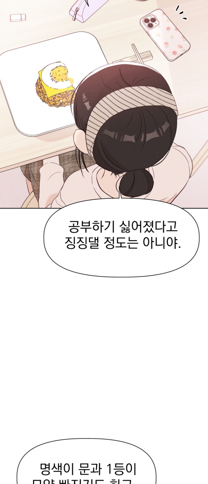 54 페이지