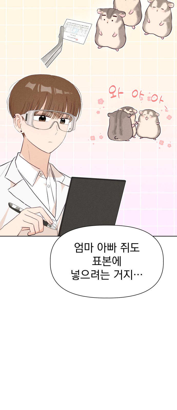17 페이지