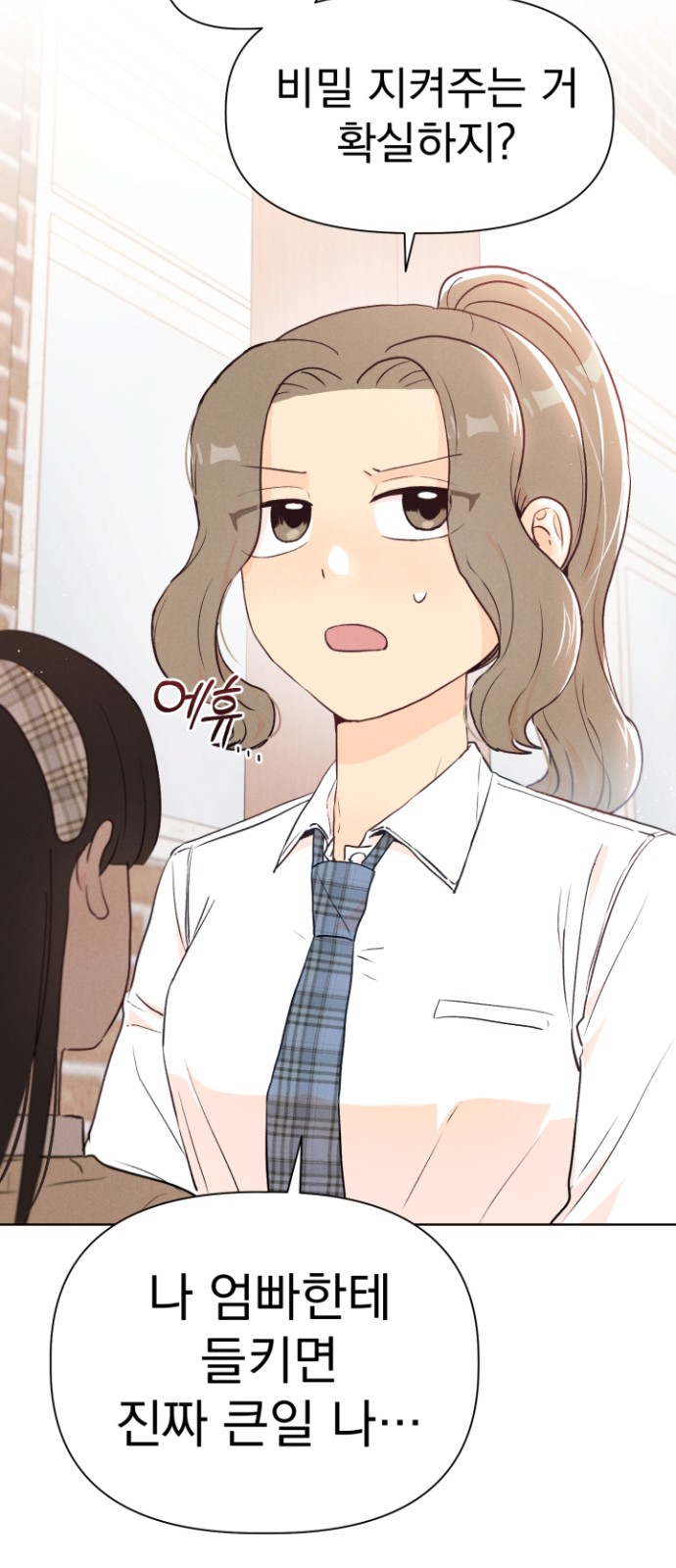 47 페이지