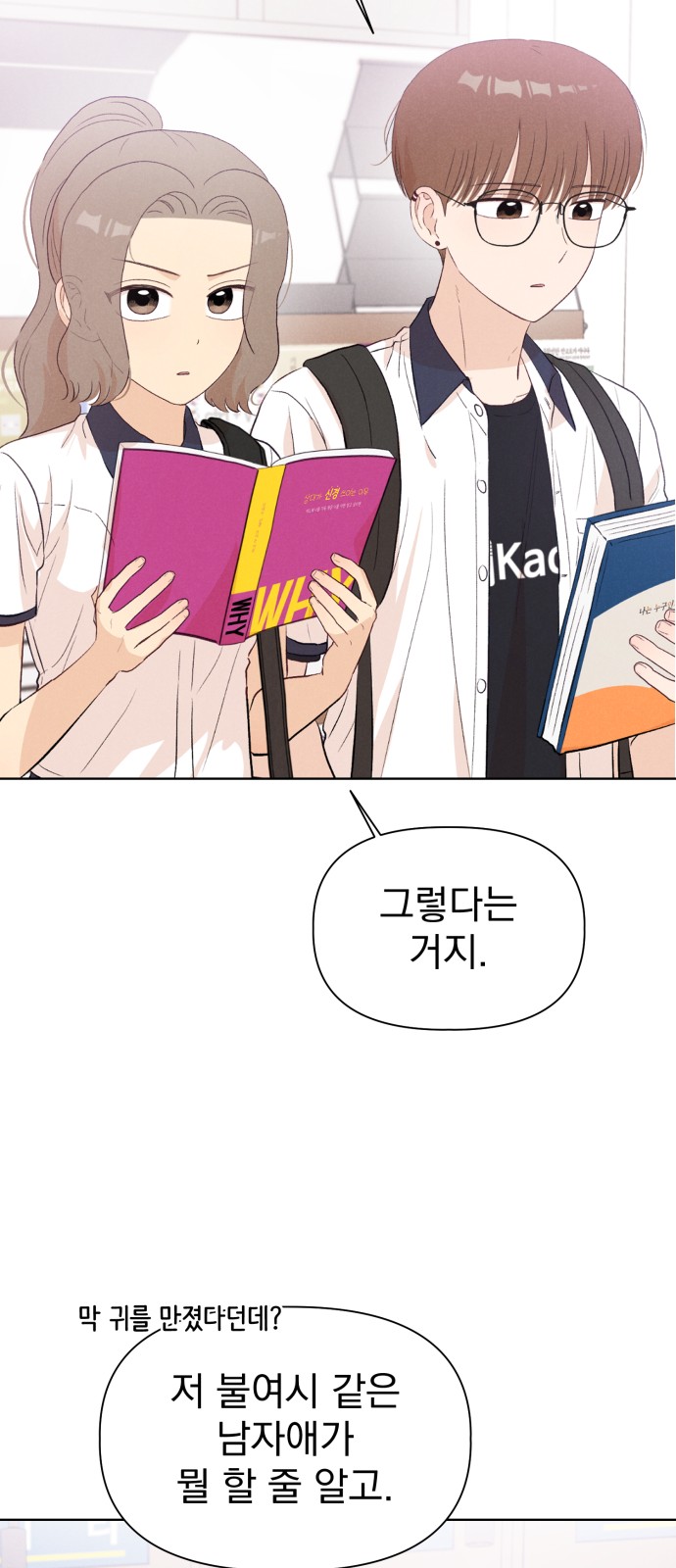 20 페이지